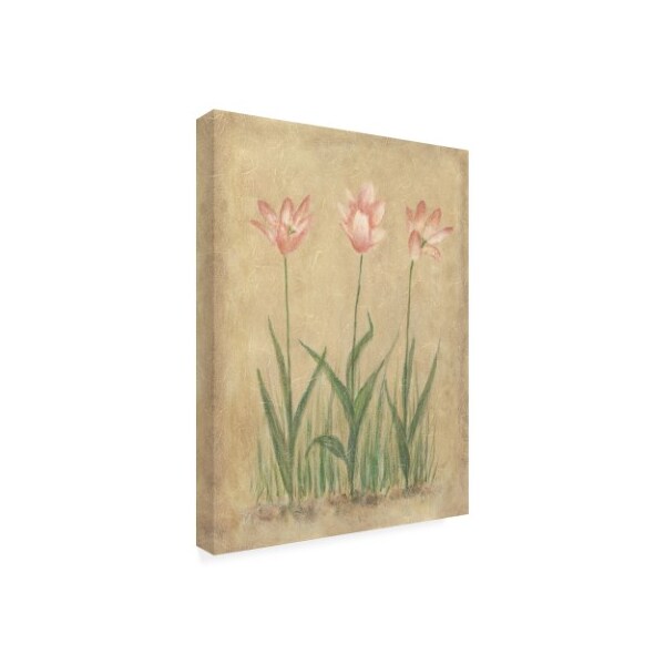 Debra Lake 'Pink And White Tulips' Canvas Art,18x24